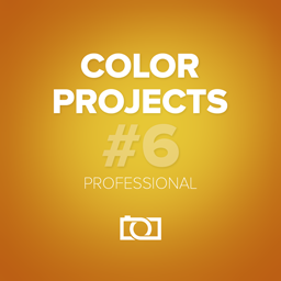 COLOR Projects Professional Icon