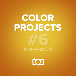 COLOR Professional Projects COLOR Projects Professional Icon