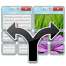 Divvy Divvy Icon