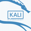 Kali Linux 2025.2cccccaaaaa