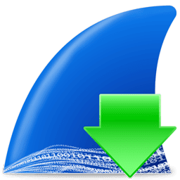 Icon of Wireshark Wireshark Icon