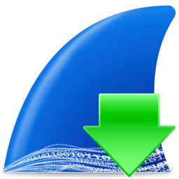 Wireshark Icon